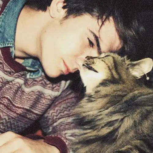 energyedapp@Sebastian